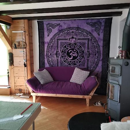 Chalet Alpine Apartment Sion Bagian luar foto