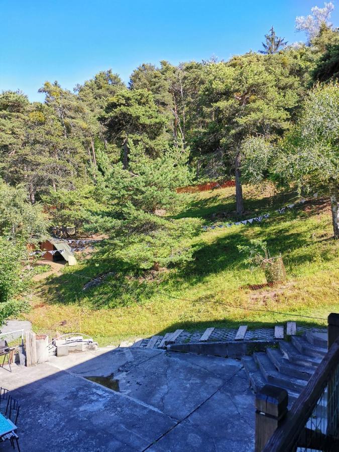 Chalet Alpine Apartment Sion Bagian luar foto