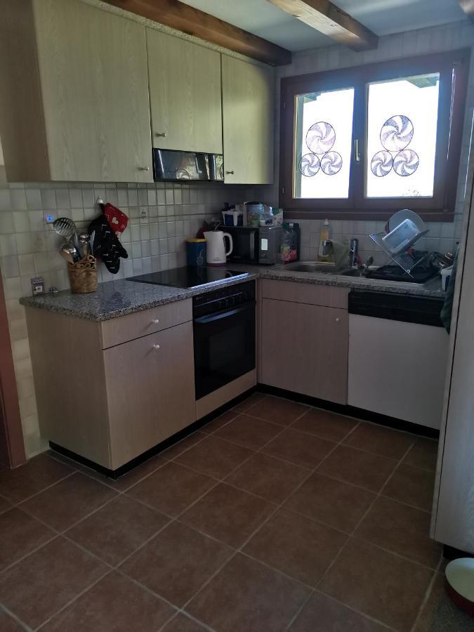 Chalet Alpine Apartment Sion Bagian luar foto