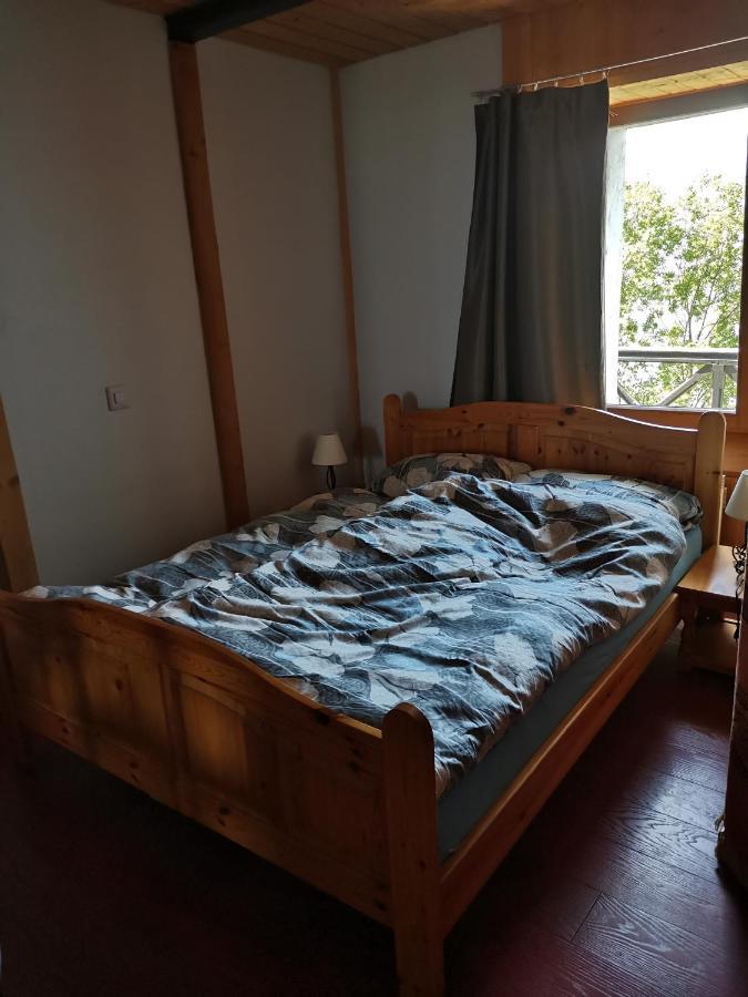 Chalet Alpine Apartment Sion Bagian luar foto